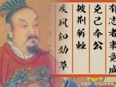 ​之子是什么意思（螟蛉之子是什么意思）